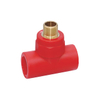PPR Female Socket pipe High-Quality Durable Plumbing Fitting para sa mga kemikal na aplikasyon