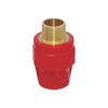 PPR Female Socket pipe High-Quality Durable Plumbing Fitting para sa mga kemikal na aplikasyon